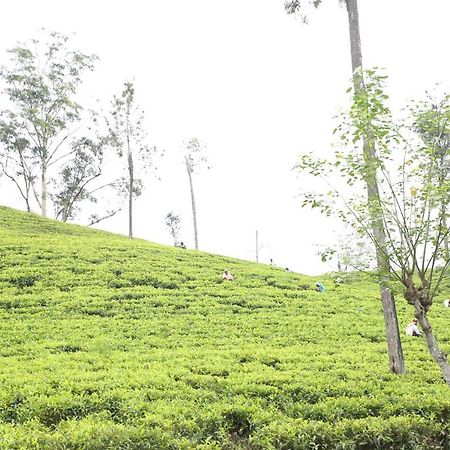 Ella Tea Land View Apartment Luaran gambar