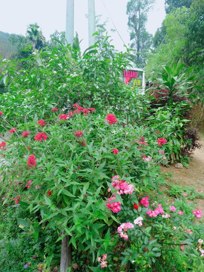 Ella Tea Land View Apartment Luaran gambar
