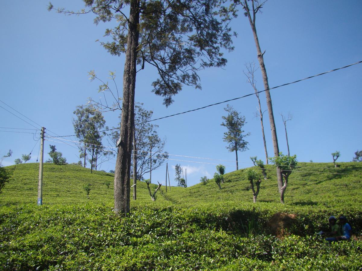 Ella Tea Land View Apartment Luaran gambar