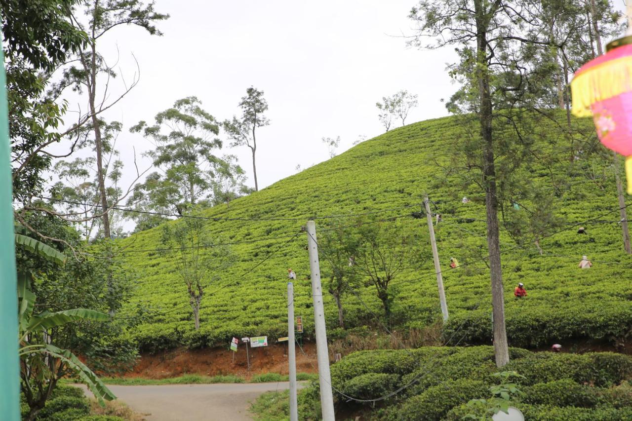 Ella Tea Land View Apartment Luaran gambar