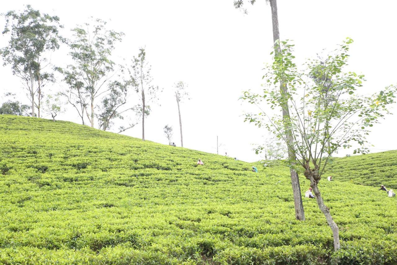 Ella Tea Land View Apartment Luaran gambar